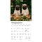 Pug Puppies | 2026 7 x 14 Inch (Hanging) Monthly Mini Wall Calendar